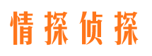 四方市侦探公司